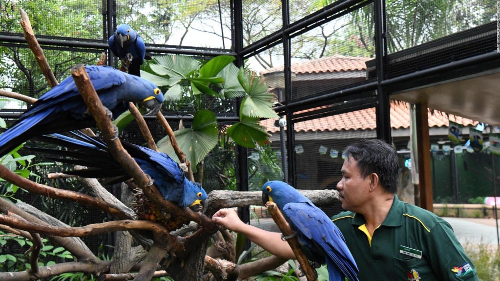 Asia's largest bird park to close