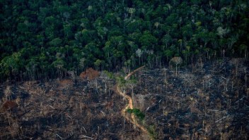 La Amazonía rompe récord de incendios en un solo día