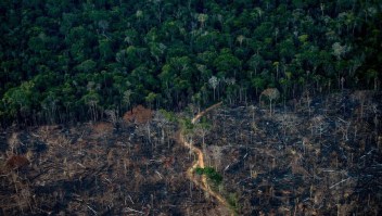 La Amazonía rompe récord de incendios en un solo día