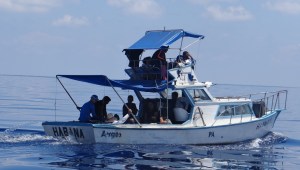 Crece el número de migrantes cubanos interceptados en aguas de Estados Unidos
