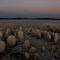 El "Stonehenge español" emergió tras la devastadora sequía que afecta a regiones de España
