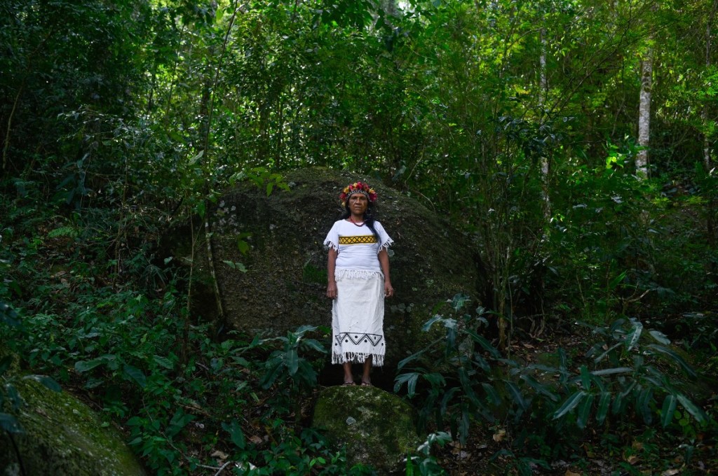 brasil explotación tierras indígenas