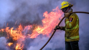 2 millones de deshumidificadores New Widetech han sido retirados por  posible riesgo de incendio - La Opinión