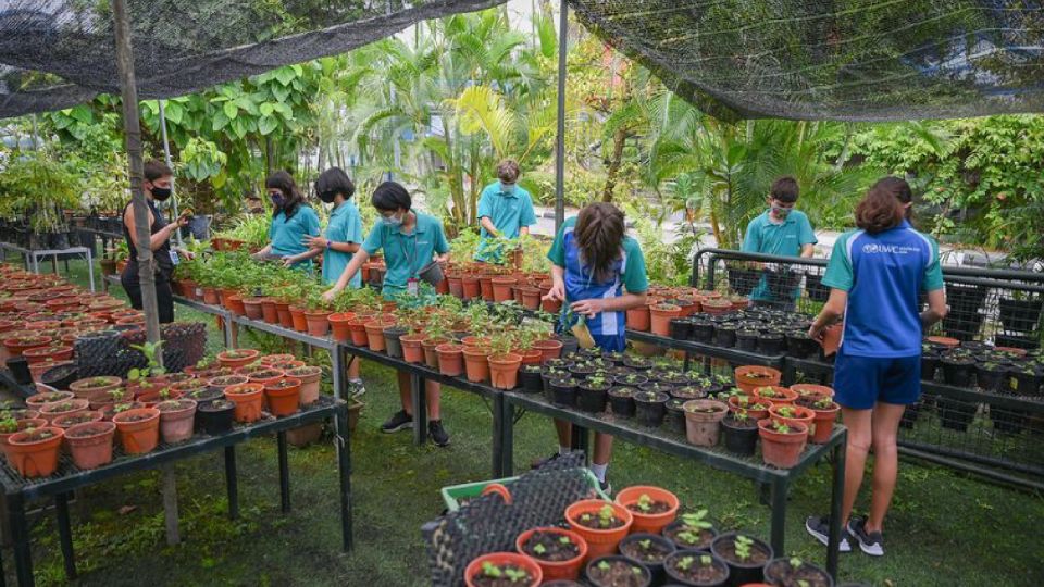Jóvenes realizando un realizaron un "maratón de plantas" en el Sudeste Asiático 