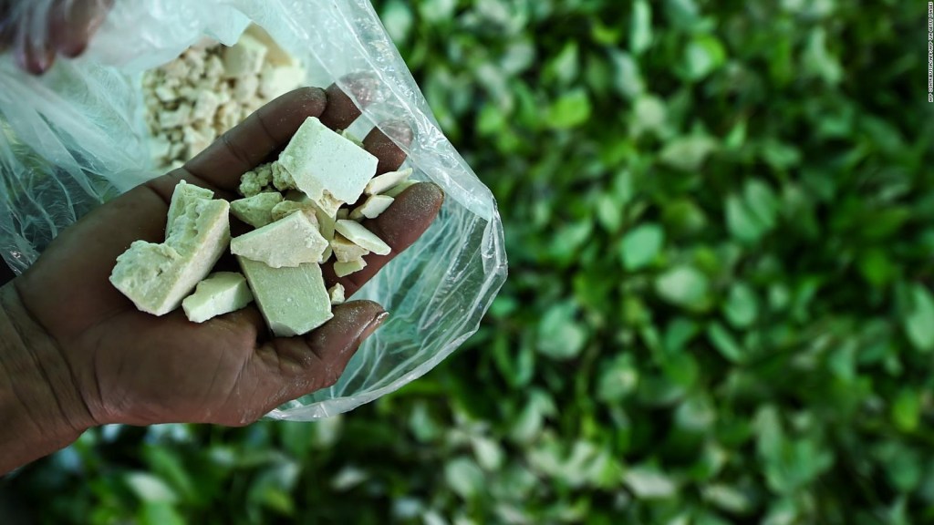 ¿Colombia busca despenalizar la cocaína?