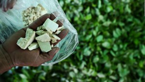 ¿Busca Colombia despenalizar la cocaína?