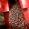 Los 5 principales productores y consumidores de café