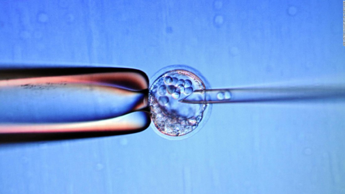 Crean embriones de ratón sintéticos a partir de células madre