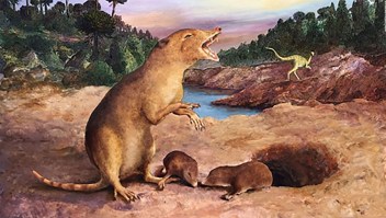 Mira cómo lucía el mamífero más antiguo jamásidentificado