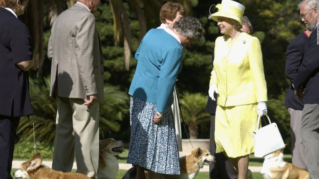 After the death of Elizabeth II, who will take care of her corgis?