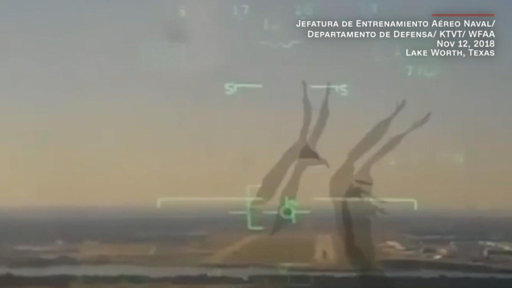 Video shows how a bird causes a plane to crash