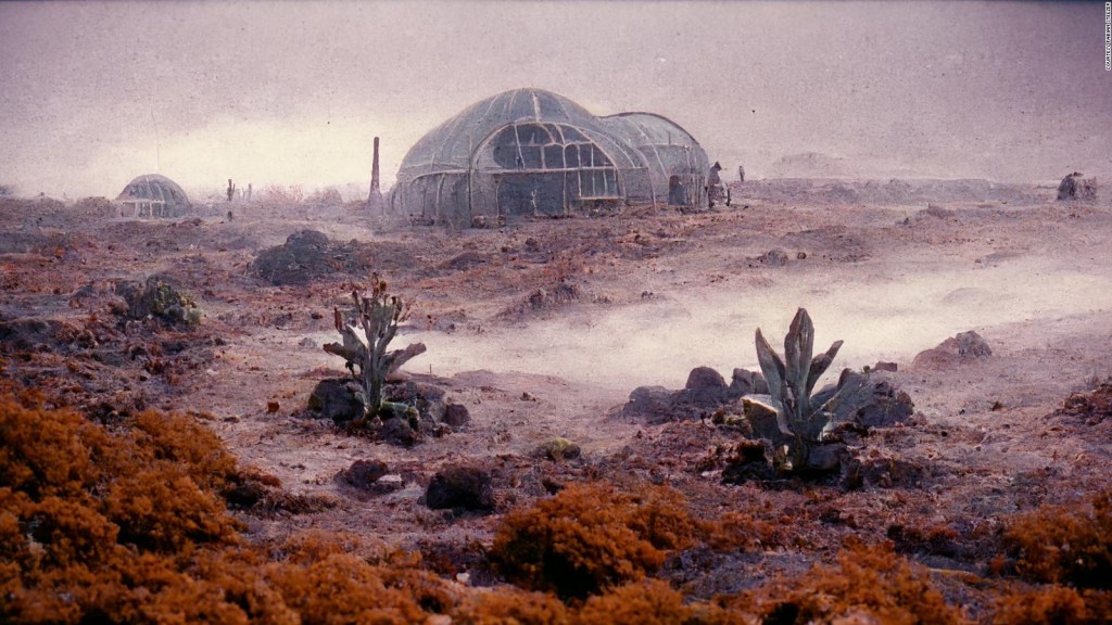 Para esta imagen de "Salt", Stelzer utilizó Midjourney con la indicación "fotograma de película de una estación de investigación en un planeta minero, ambiente de ciencia ficción, beige y oscuro, película de ciencia ficción de los años 80, atmósfera tensa, plantas y vegetación extraterrestre rara, árida, polvorienta, niebla".