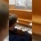Conoce al hombre que toca el piano para detenidos en Rusia