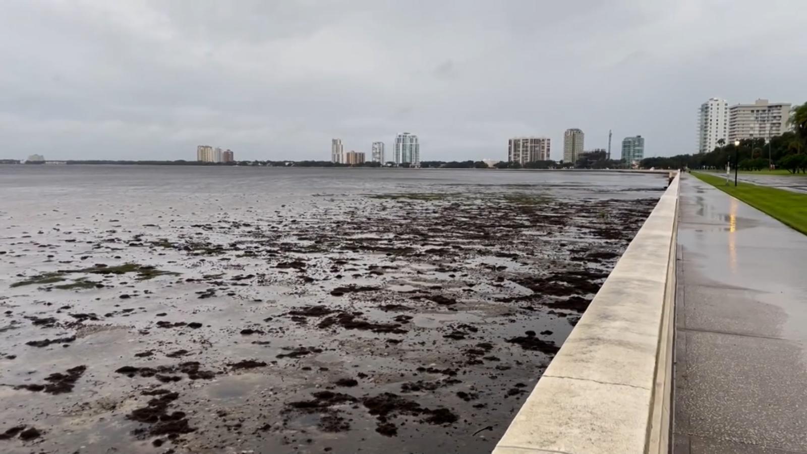 Sin agua, así ha dejado el huracán Ian la bahía de Tampa tras su paso