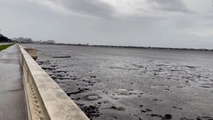 Así quedó la bahía de Tampa tras el paso del huracán Ian