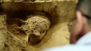 Este cráneo revela un eslabón perdido de la evolución humana