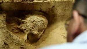 Este cráneo revela un eslabón perdido de la evolución humana