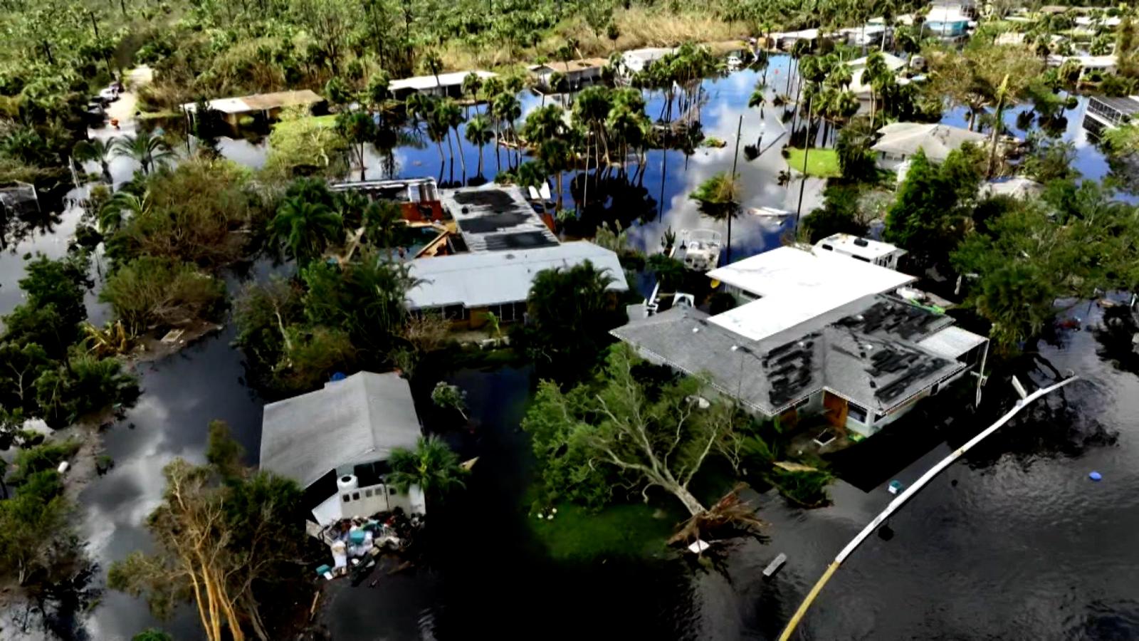 Crocodile Alert In Sarasota Florida After Hurricane Ian The Limited   221001195102 Flooding Ian Full 169 