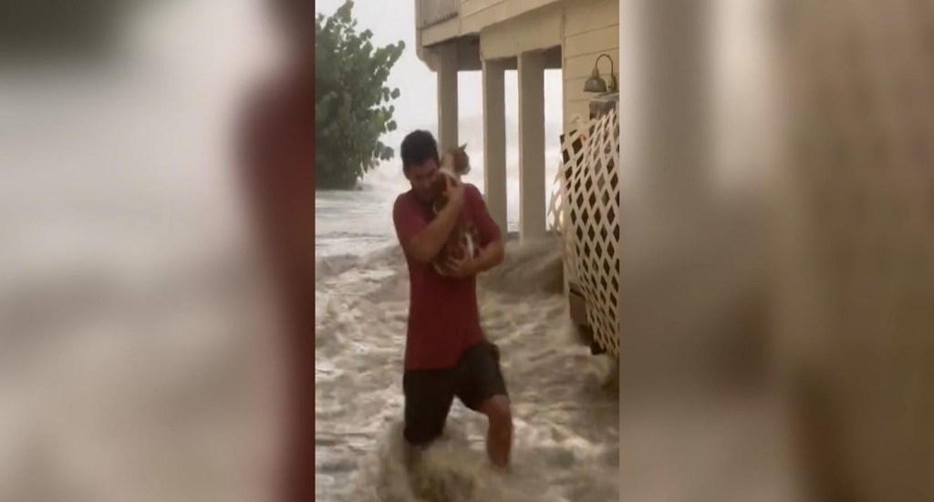 Teen rescues cat amid Hurricane Ian
