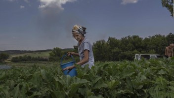 Con este simple cambio se podría dar de comer a 1.000 millones personas