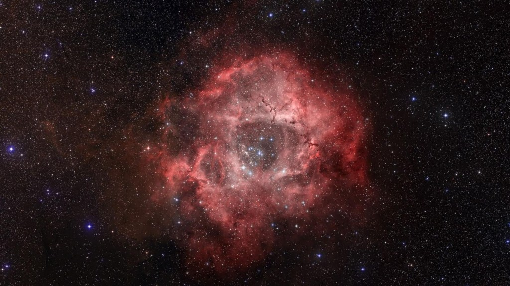 Skull or rose?  This is the particular Rosette Nebula