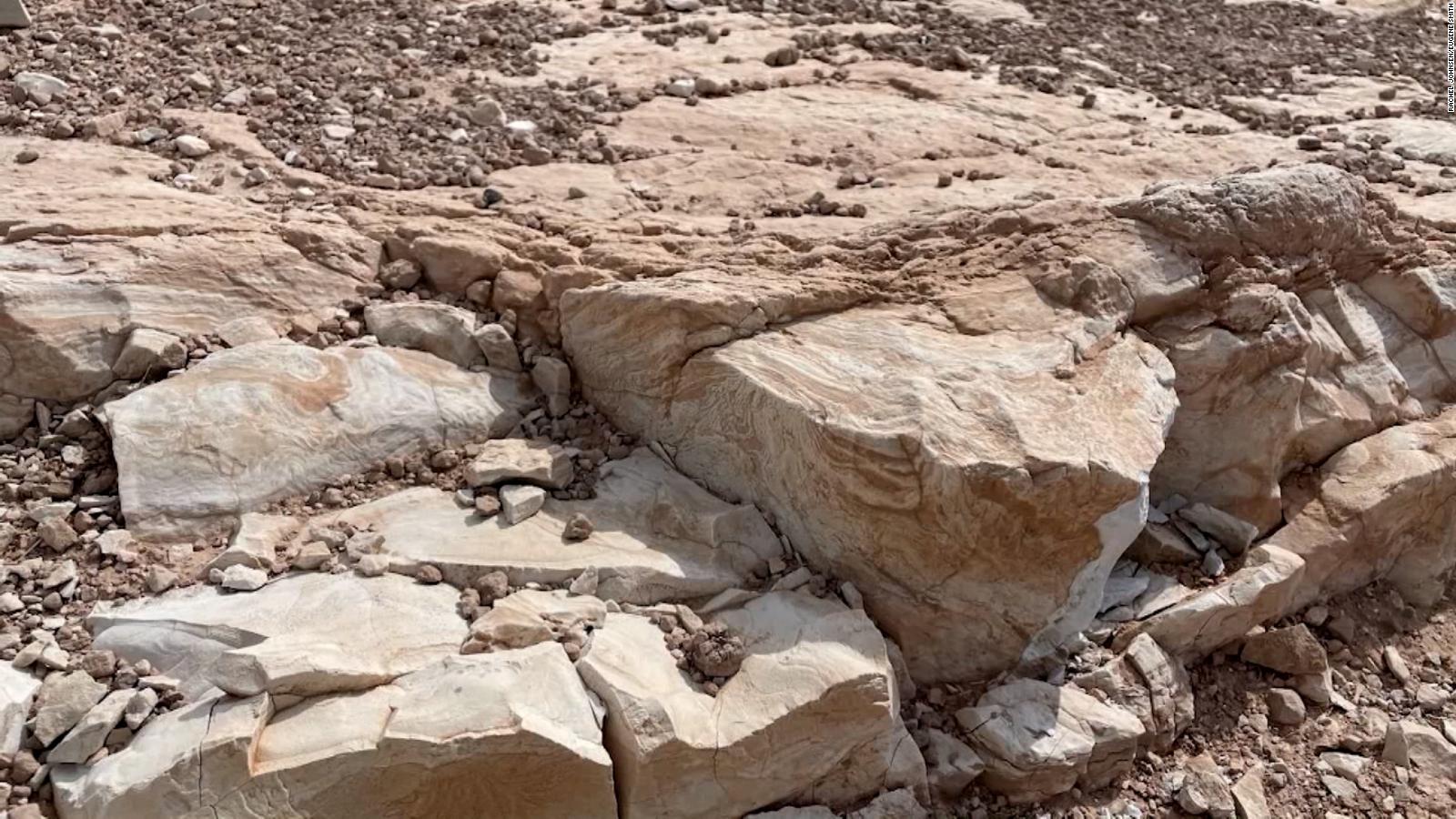 El Inédito Descubrimiento Que Reveló La Bajante Del Lago Mead