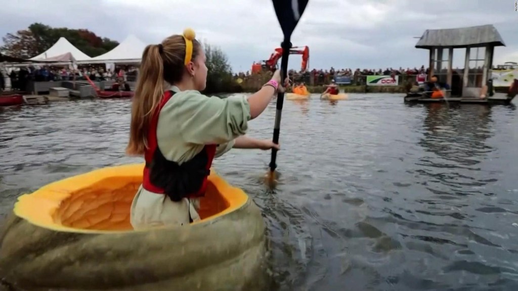 Check out the unusual boats they use in this rowing race in Belgium