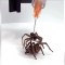 Mira estas arañas cyborg que pueden usarse como pinzas mecánicas