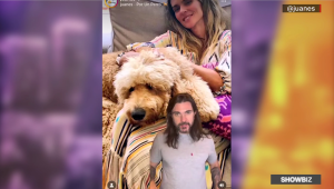 Juanes cuenta la historia de su tema "Por un perro"