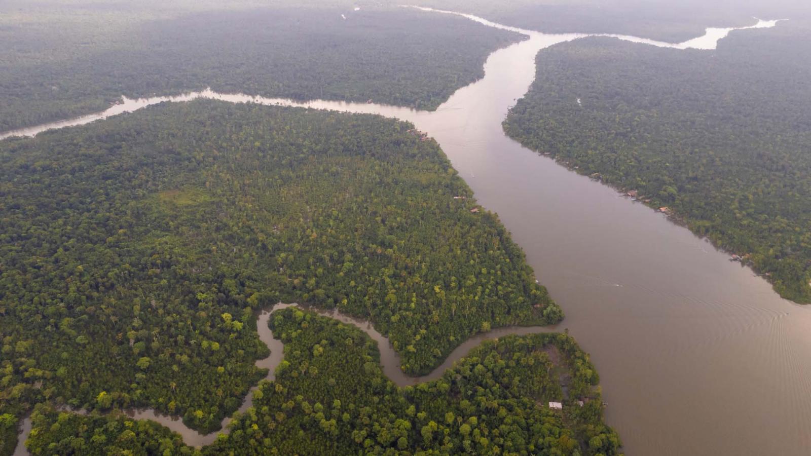 Lula da Silva: "El mundo necesita una Amazonía viva"