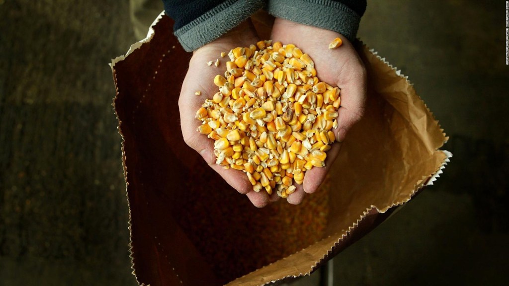 Why did the price of wheat and corn rise?