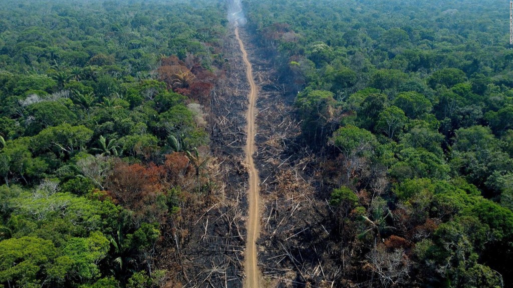Ordenan reactivar fondo para la Amazonía en Brasil