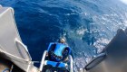 Una buceadora se topó con la boca de un tiburón al saltar al agua