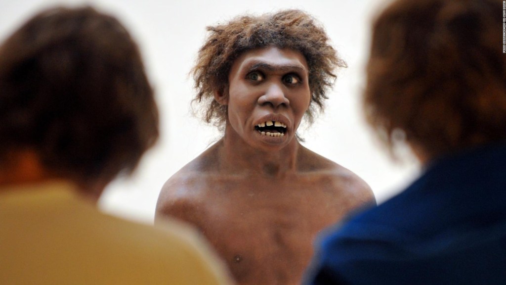 ¿Qué provocó la extinción de los neandertales?