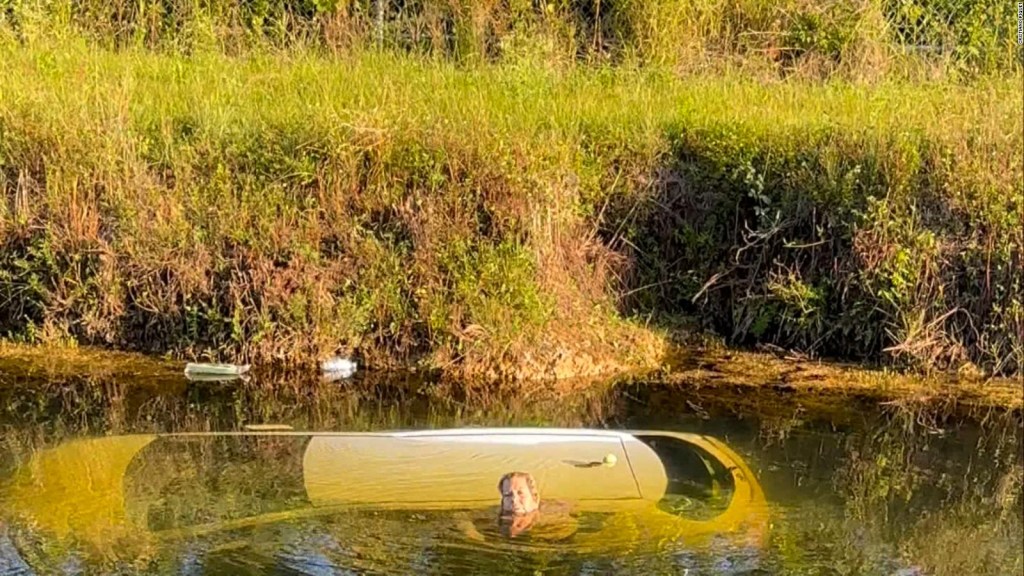 Pilot discovers car sunk in a canal with the driver clinging to the roof