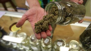 Comienza la venta legal de semillas y plantas de cannabis en Argentina
