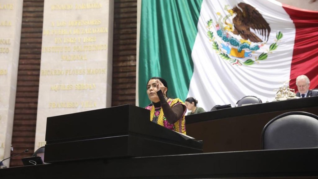 Euphrosine Cruz: Sin soja "fifi" Voy a marchar por el INE