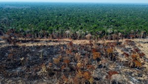 amazonas deforestación brasil
