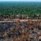 amazonas deforestación brasil