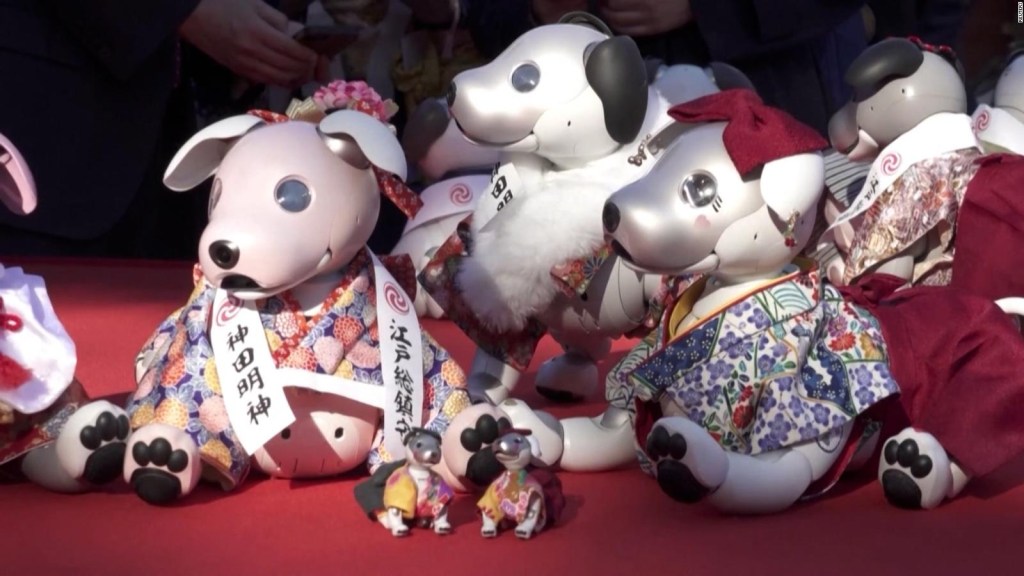 Cientos asisten al ritual de salud del perro robot