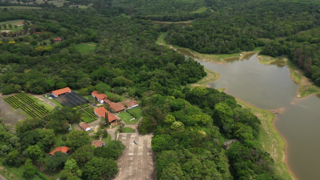 Únase a los esfuerzos para restaurar la Amazonía brasileña