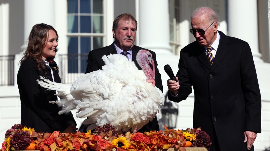 Look at the turkeys Biden pardoned for Thanksgiving