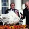 Mira a los pavos que Biden indultó por Acción de Gracias