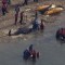 Mira el heroico rescate de ballenas varadas en la playa