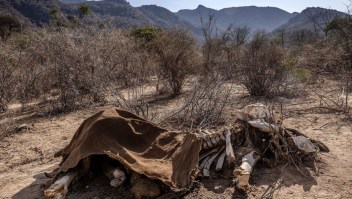 El cadáver de un elefante adulto que murió durante la sequía en la reserva de conservación de Namunyak Wildlife, en Samburu, Kenia, el 12 de octubre de 2022.