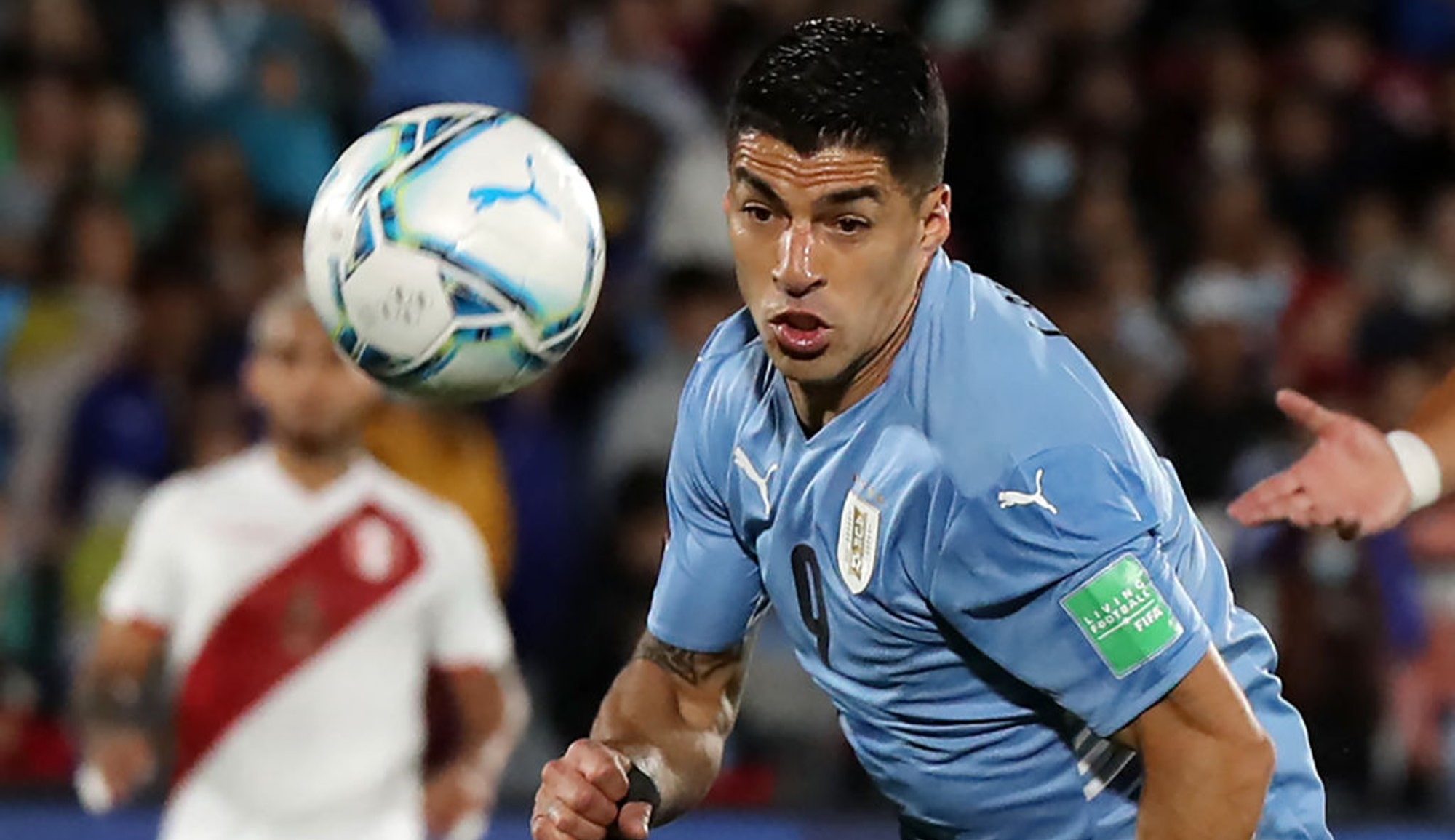 Hoy sale la lista de Uruguay para el Mundial de Qatar: este es el plantel  de 26 que asoma - Charruas Del Futbol