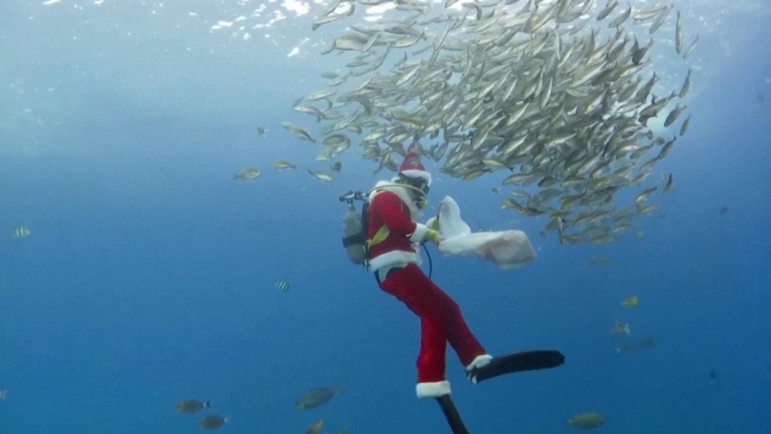 Buzo disfrazado de Papá Noel sorprende a los niños en un acuario en Japón