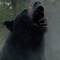 "Cocaine Bear", la película de un oso que inhala cocaína se hace viral