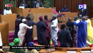 Hasta sillas se lanzaron: así fue la pelea en el Parlamento de Senegal