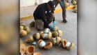 Desmantelan cargamento de fentanilo escondido en cocos